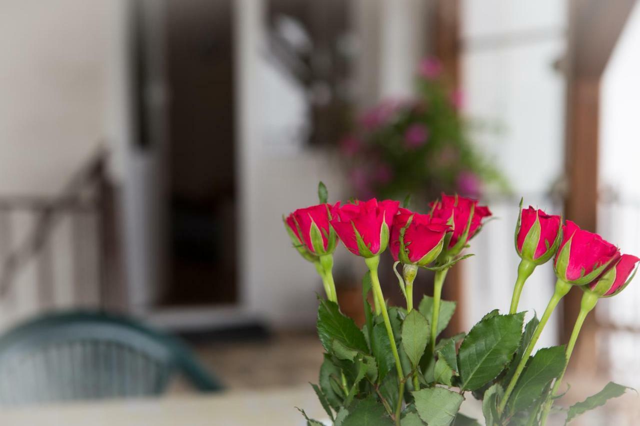 Apartman Antea オトチャッツ エクステリア 写真